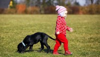 Kids (General), Pets And Health, Parenting